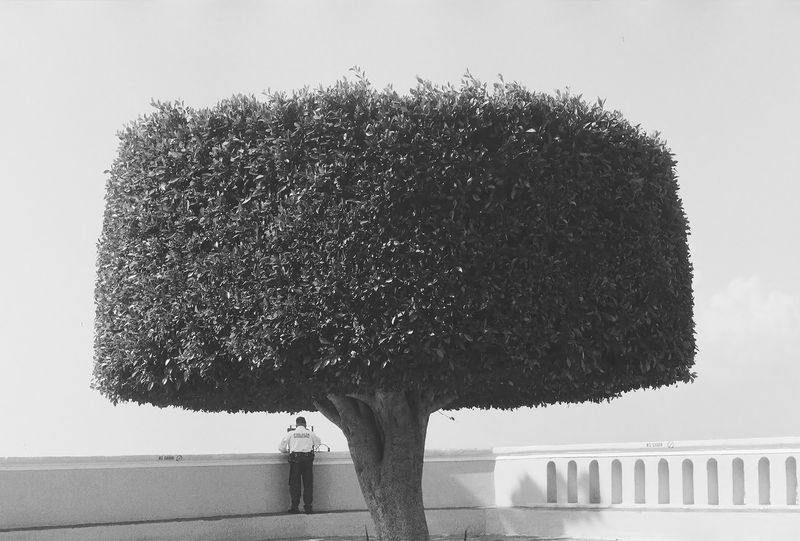 © Thibault belouis - Image from the Dias Tras Dias photography project
