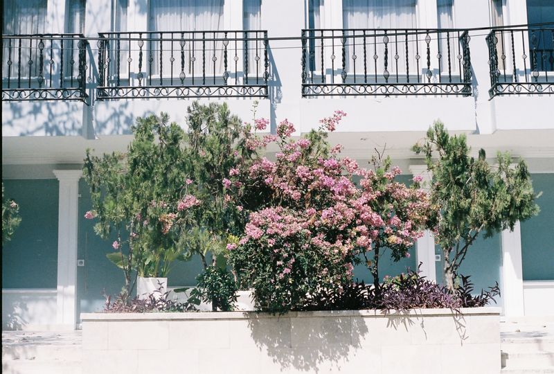 © Thibault belouis - Image from the Dias Tras Dias photography project