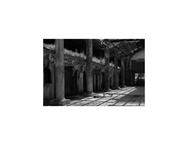 Image from a project on PhMuseum