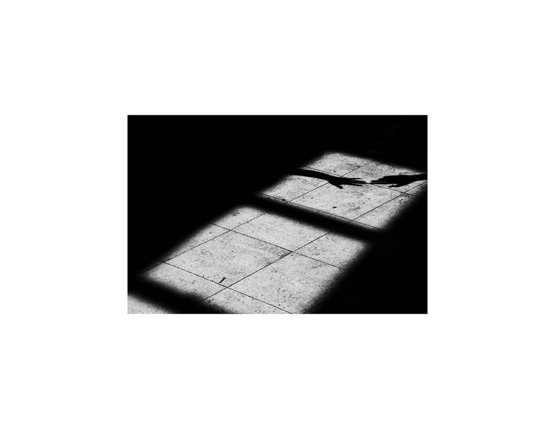 Image from a project on PhMuseum