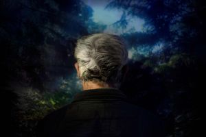 Landscapes for the attempt