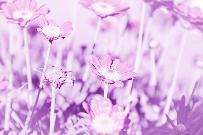 © Grazia Pachioli - Image from the A Te photography project