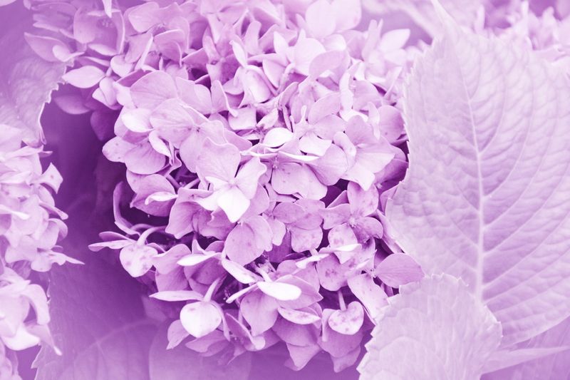 © Grazia Pachioli - Image from the A Te photography project