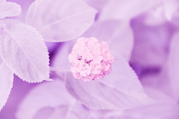 © Grazia Pachioli - Image from the A Te photography project