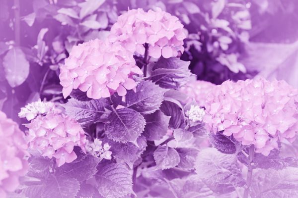 © Grazia Pachioli - Image from the A Te photography project