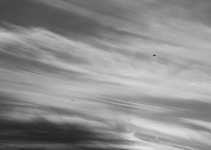 © Grazia Pachioli - Image from the Fragmento photography project