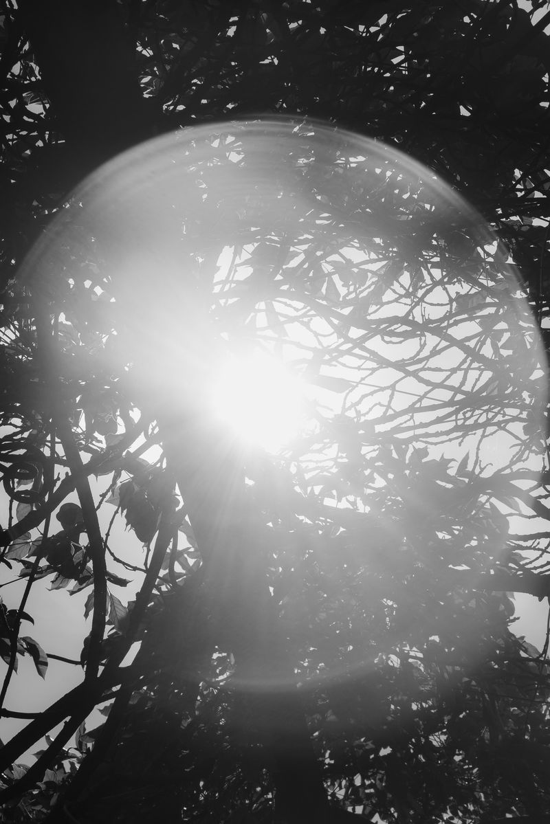 © Grazia Pachioli - Image from the Fragmento photography project