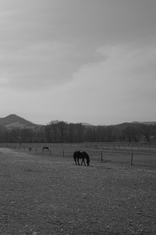 © Grazia Pachioli - Image from the Happyland photography project