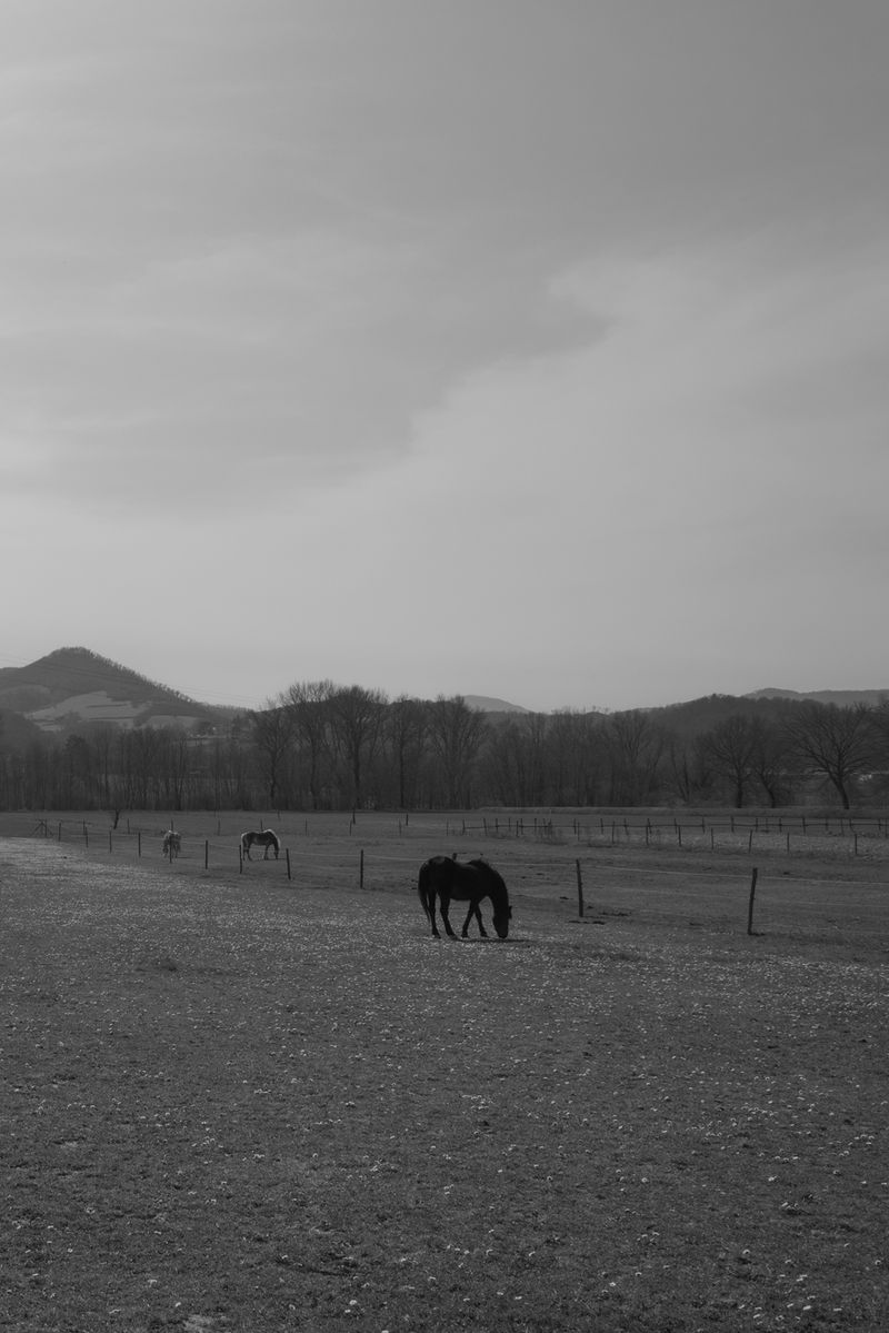 © Grazia Pachioli - Image from the Happyland photography project