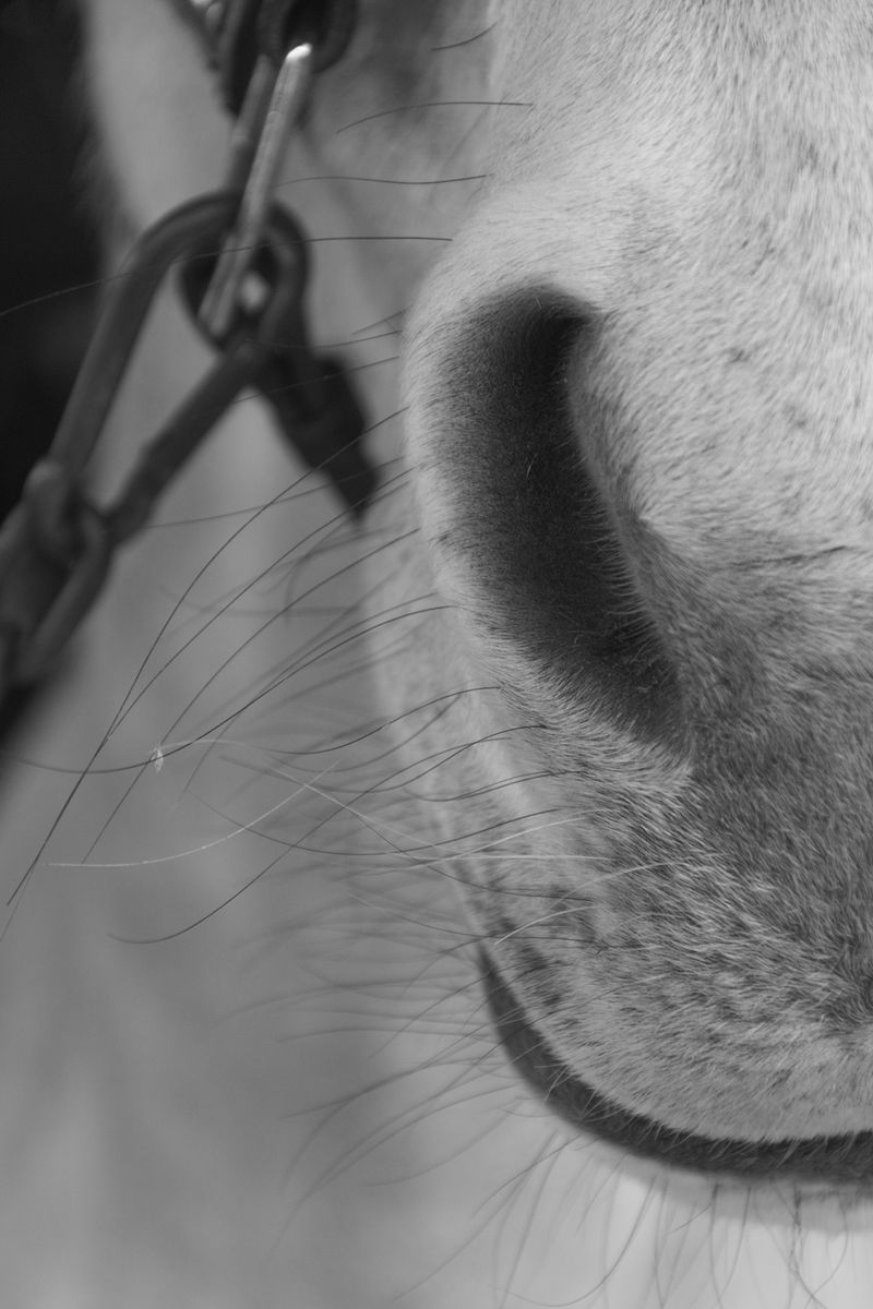 © Grazia Pachioli - Image from the Happyland photography project