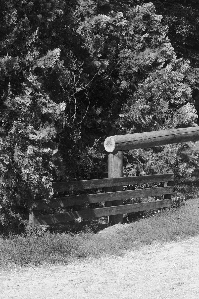 © Grazia Pachioli - Image from the Happyland photography project