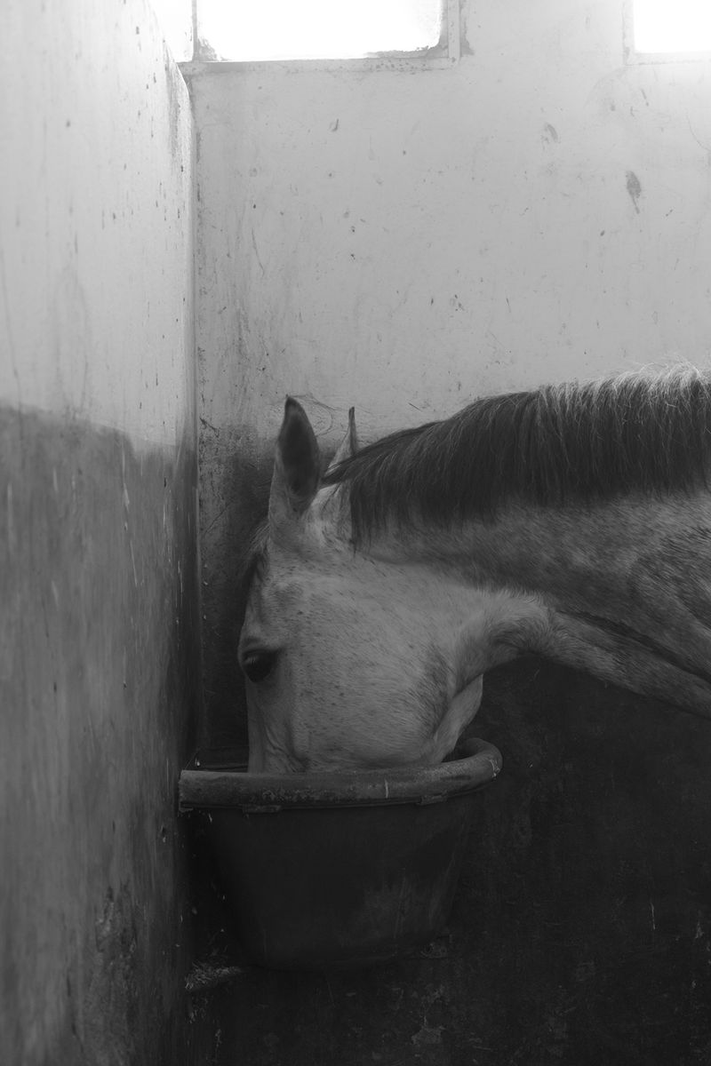 © Grazia Pachioli - Image from the Happyland photography project