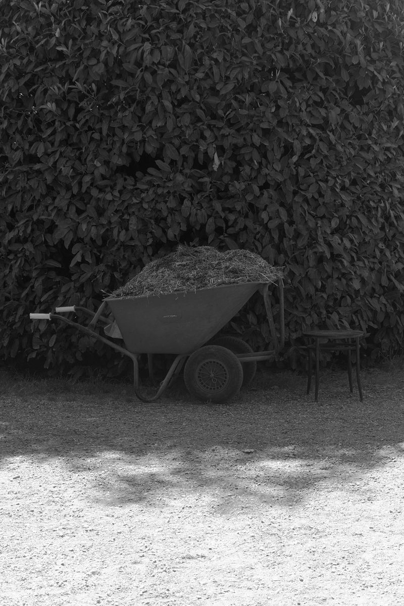 © Grazia Pachioli - Image from the Happyland photography project