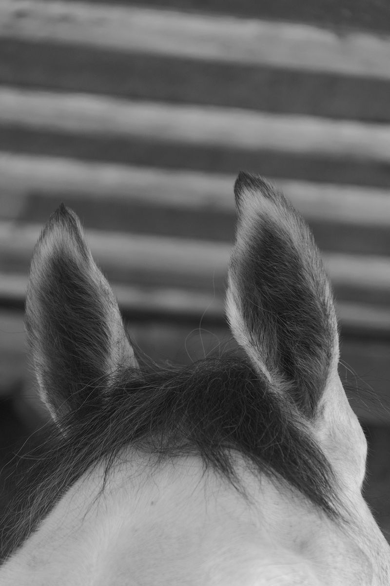 © Grazia Pachioli - Image from the Happyland photography project