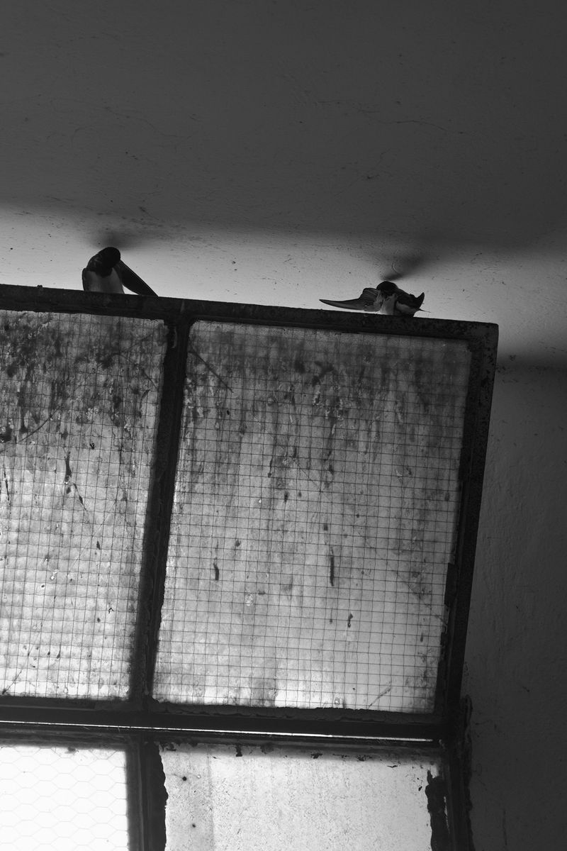 © Grazia Pachioli - Image from the Happyland photography project