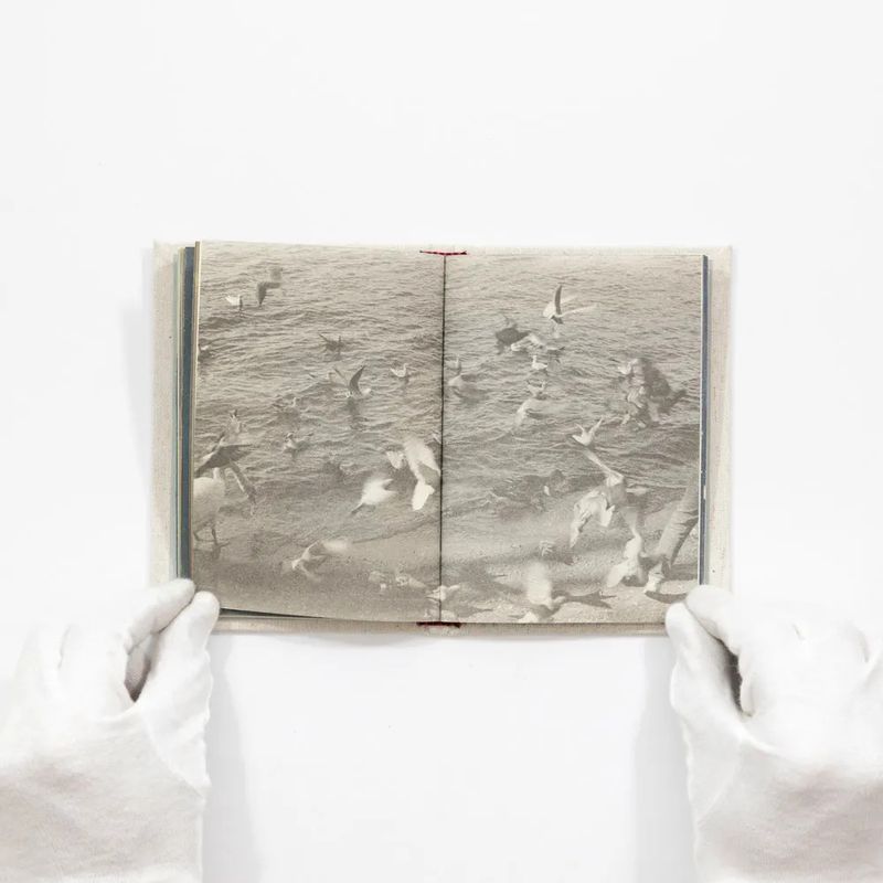 © Veronica Laminarca - Image from the Até breve photography project