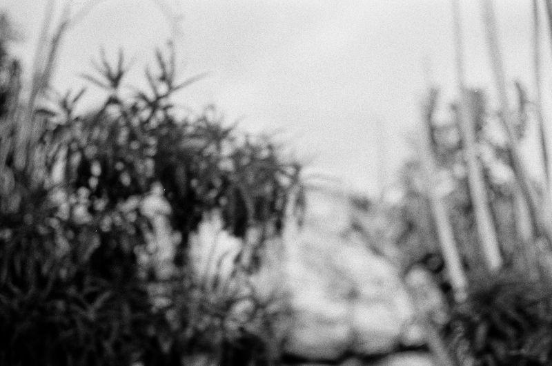 © Veronica Laminarca - Image from the Te vejo (temporary title) photography project