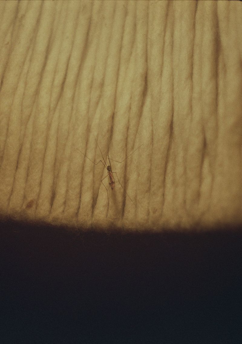© Veronica Laminarca - Image from the Ordinary Gestures photography project