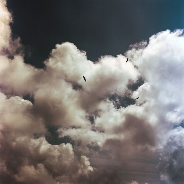 © Veronica Laminarca - Image from the Ordinary Gestures photography project
