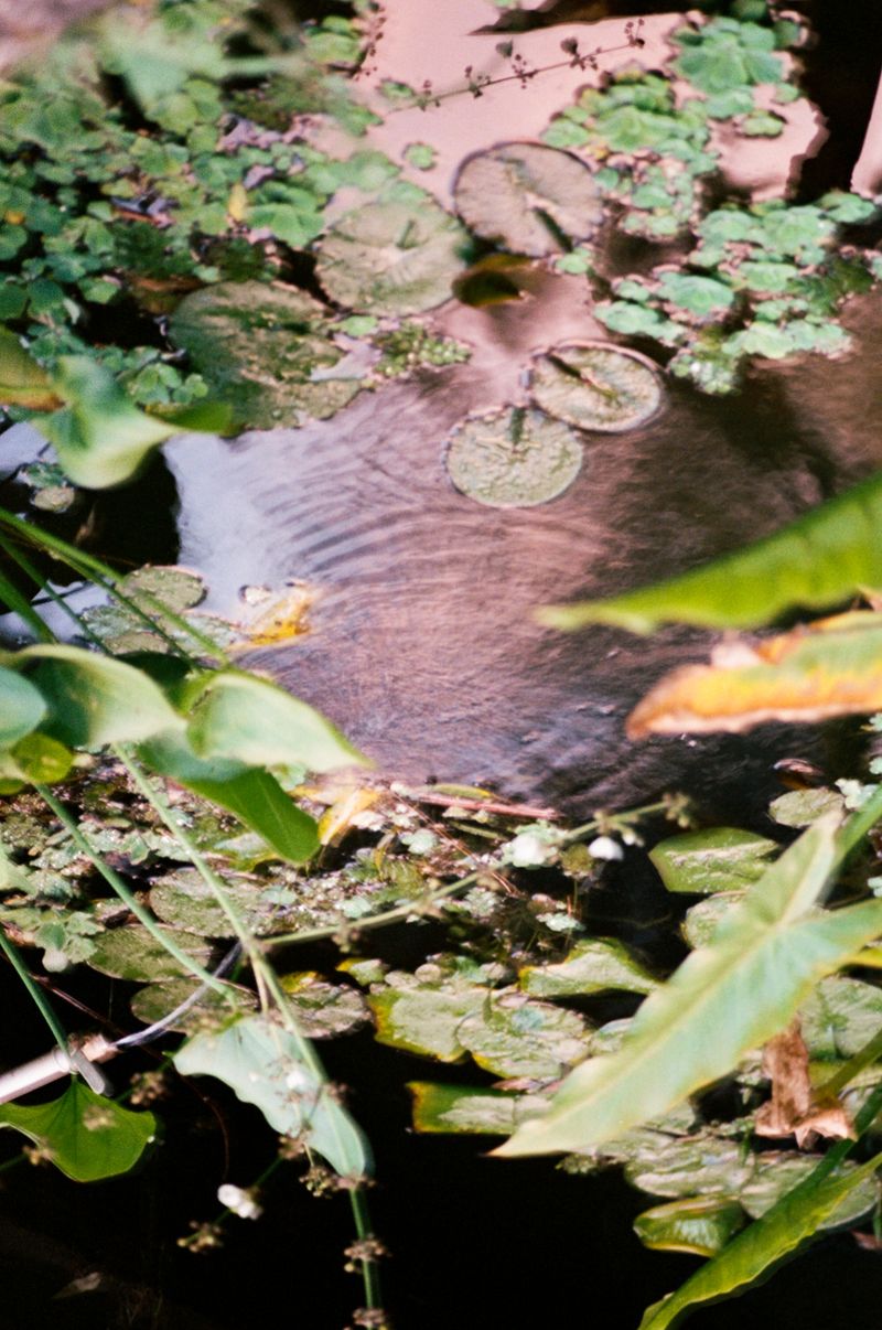 © Veronica Laminarca - Image from the Fundos 7b photography project