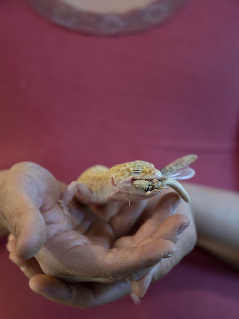 © Leonard Mann - Image from the pet me photography project