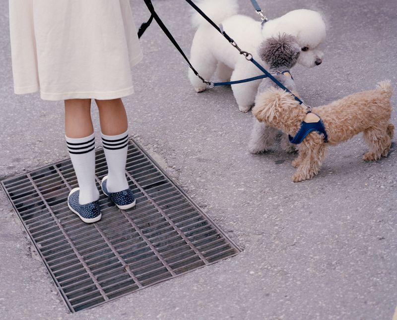 © Florian Bong-kil Grosse - Image from the Hanguk photography project