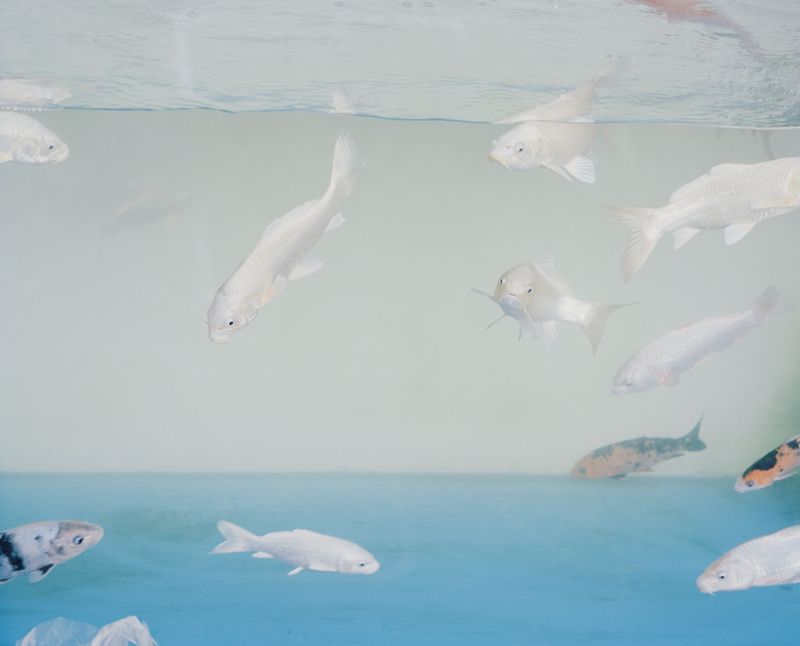 © Florian Bong-kil Grosse - Image from the Hanguk photography project