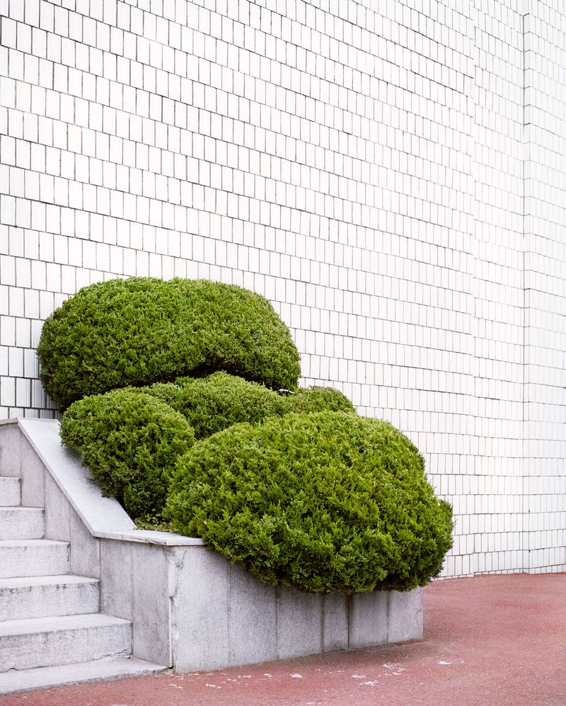 © Florian Bong-kil Grosse - Image from the Hanguk photography project