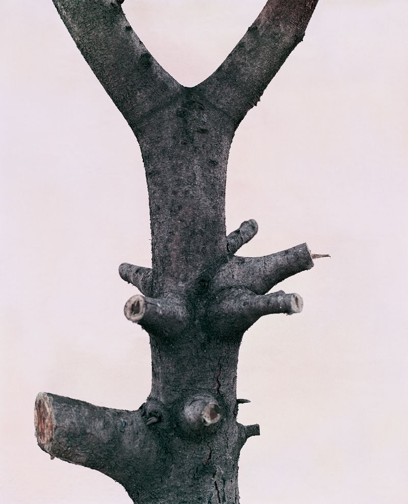 © Florian Bong-kil Grosse - Image from the Hanguk photography project