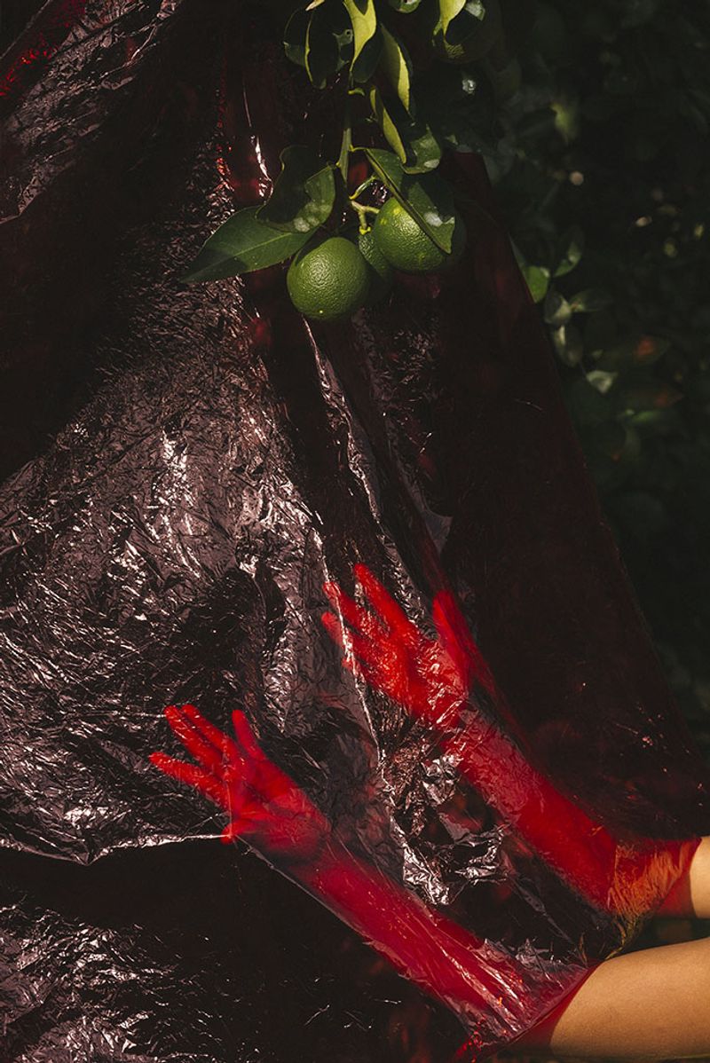 © Tania Barrientos - Image from the Doce Viajes al japón photography project