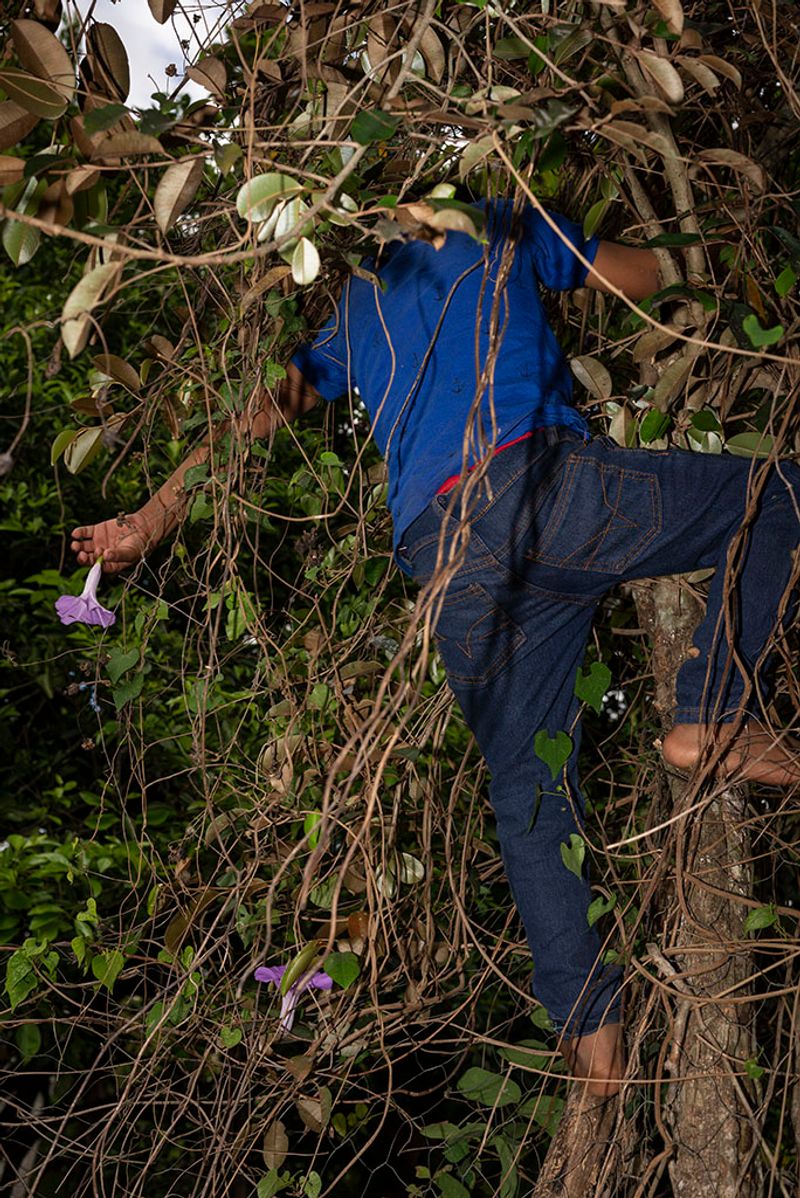 © Tania Barrientos - Image from the Doce Viajes al japón photography project