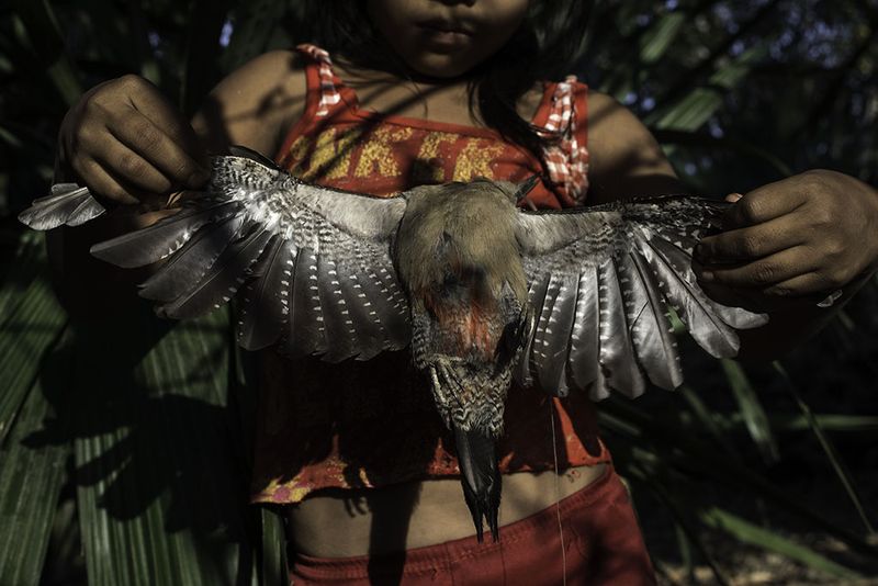 © Tania Barrientos - Image from the Doce Viajes al japón photography project