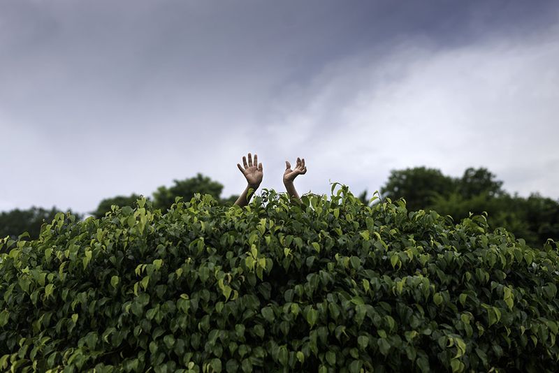 © Tania Barrientos - Image from the Doce Viajes al japón photography project