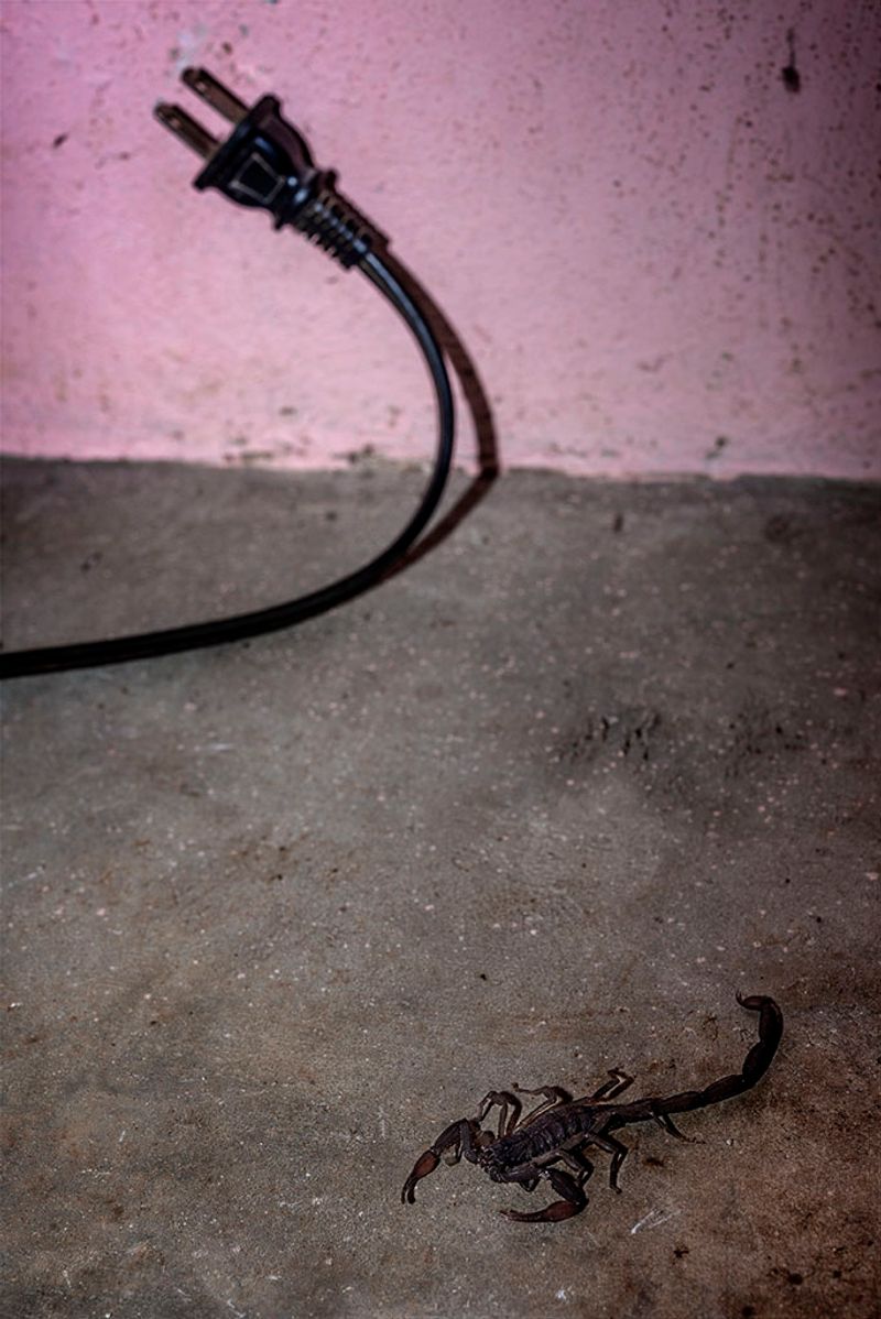 © Tania Barrientos - Image from the Doce Viajes al japón photography project