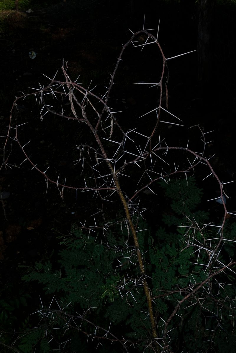 © Tania Barrientos - Image from the The wound and the mend photography project