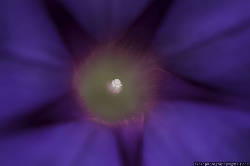 © Rakesh Shrestha - Image from the sOCIoPIc (sociopic) photography project