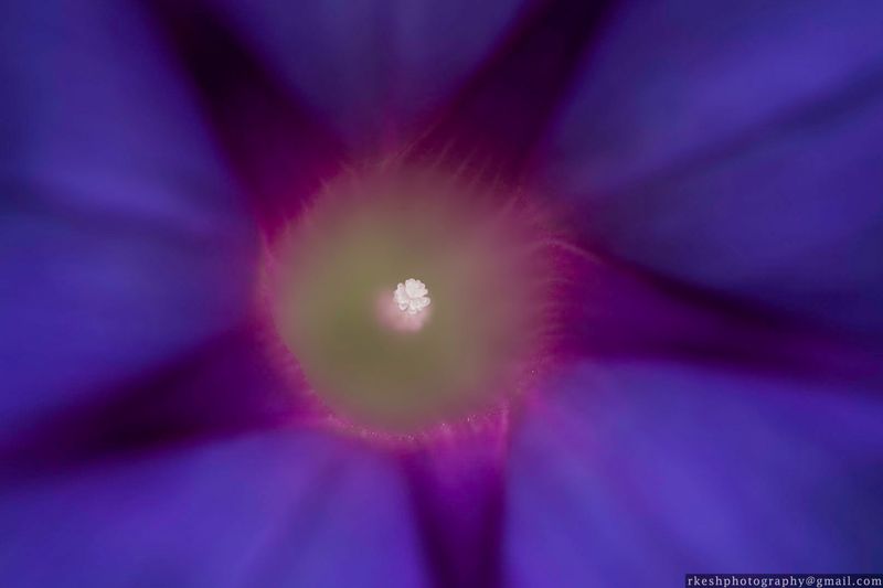 © Rakesh Shrestha - Image from the sOCIoPIc (sociopic) photography project