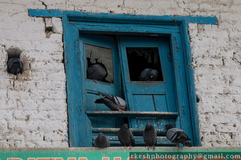 © Rakesh Shrestha - Image from the sOCIoPIc (sociopic) photography project