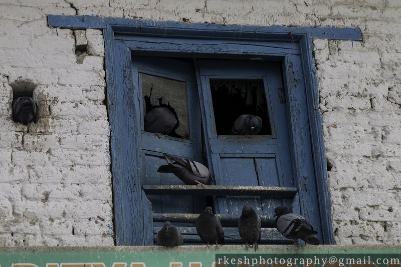 © Rakesh Shrestha - Image from the sOCIoPIc (sociopic) photography project