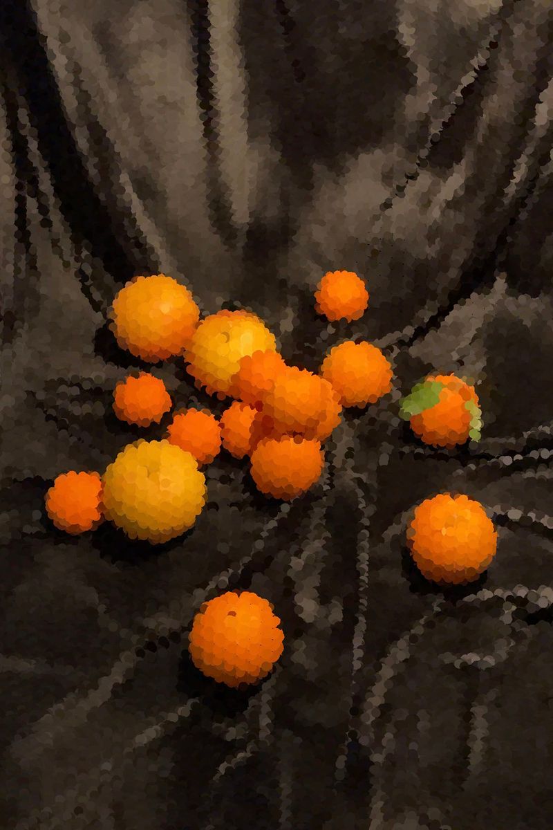 © Maria Mavropoulou - Image from the A Hollow Garden photography project