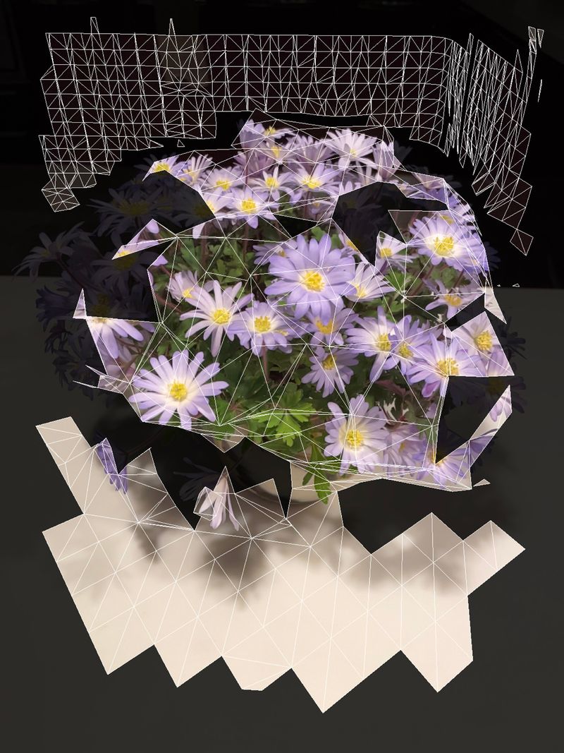 © Maria Mavropoulou - Trophy II