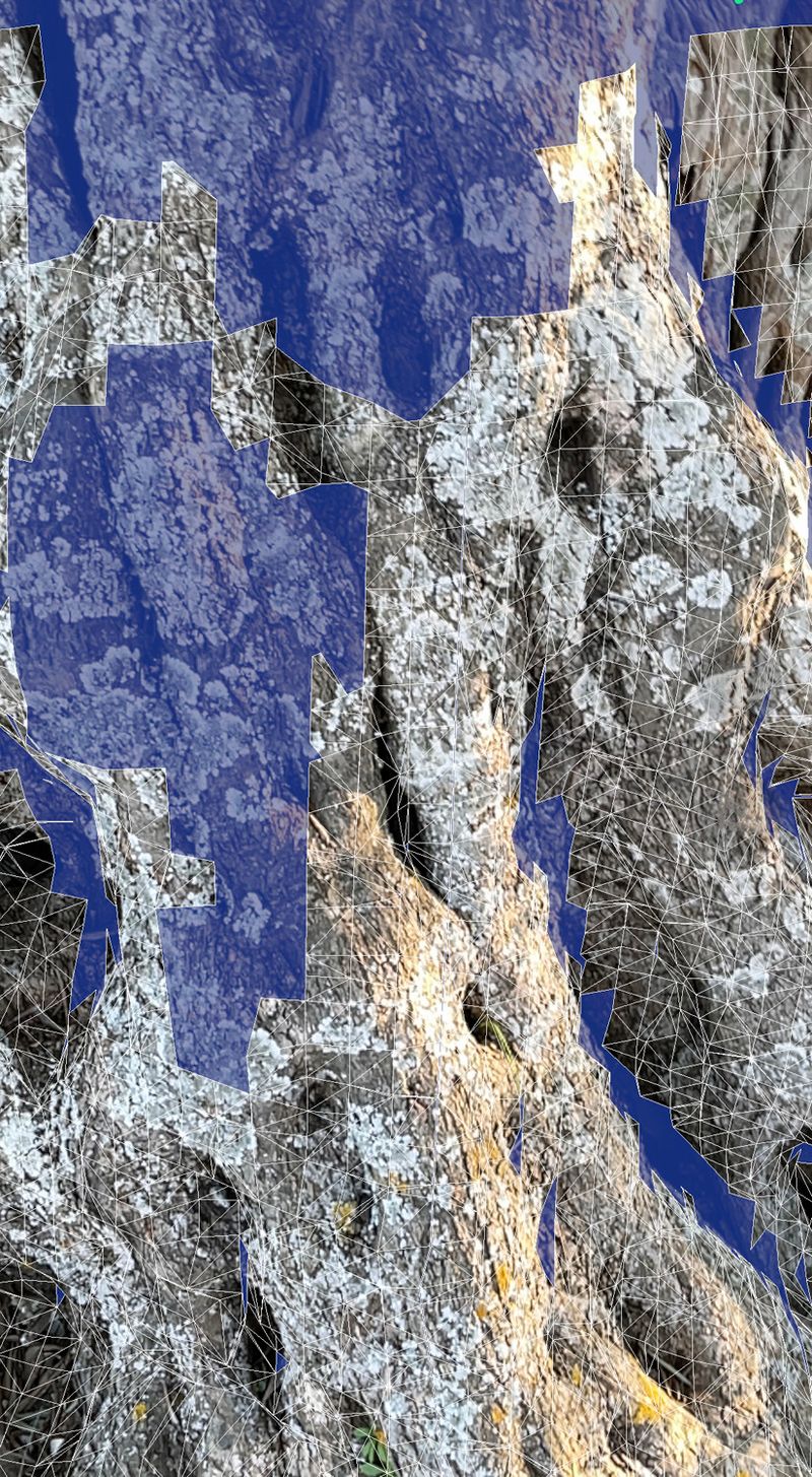 © Maria Mavropoulou - Image from the A Hollow Garden photography project