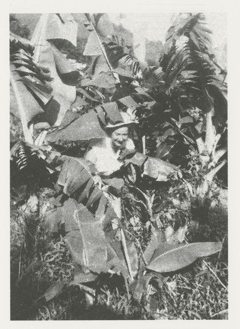 © Jenni Toivonen - Image from the Are We There photography project