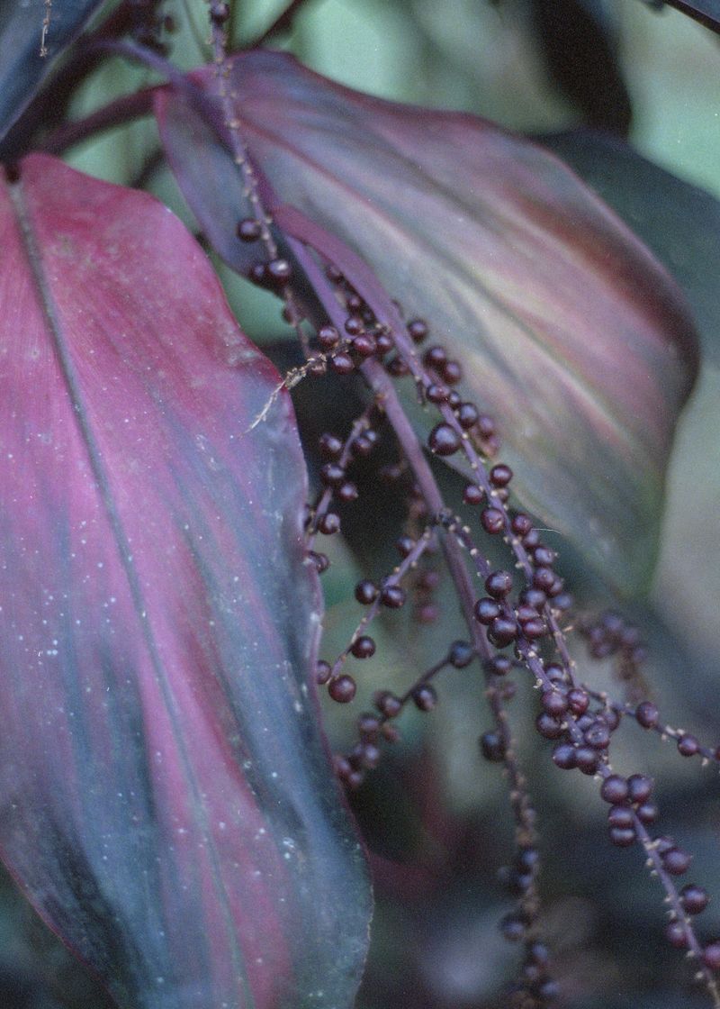 © Jenni Toivonen - Image from the Are We There photography project