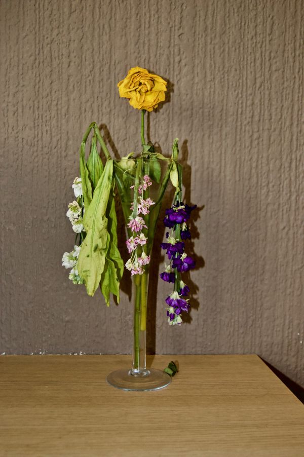 © Chloe Alexandra Davies - Image from the Familiar photography project