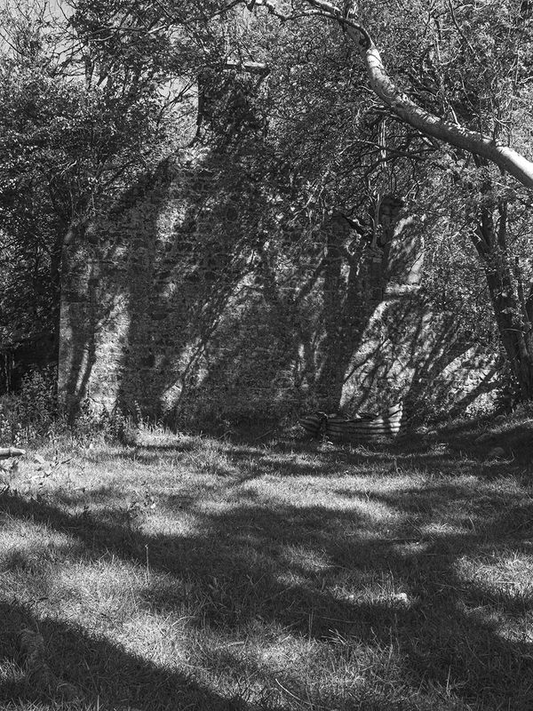 © Chloe Alexandra Davies - Where she went.