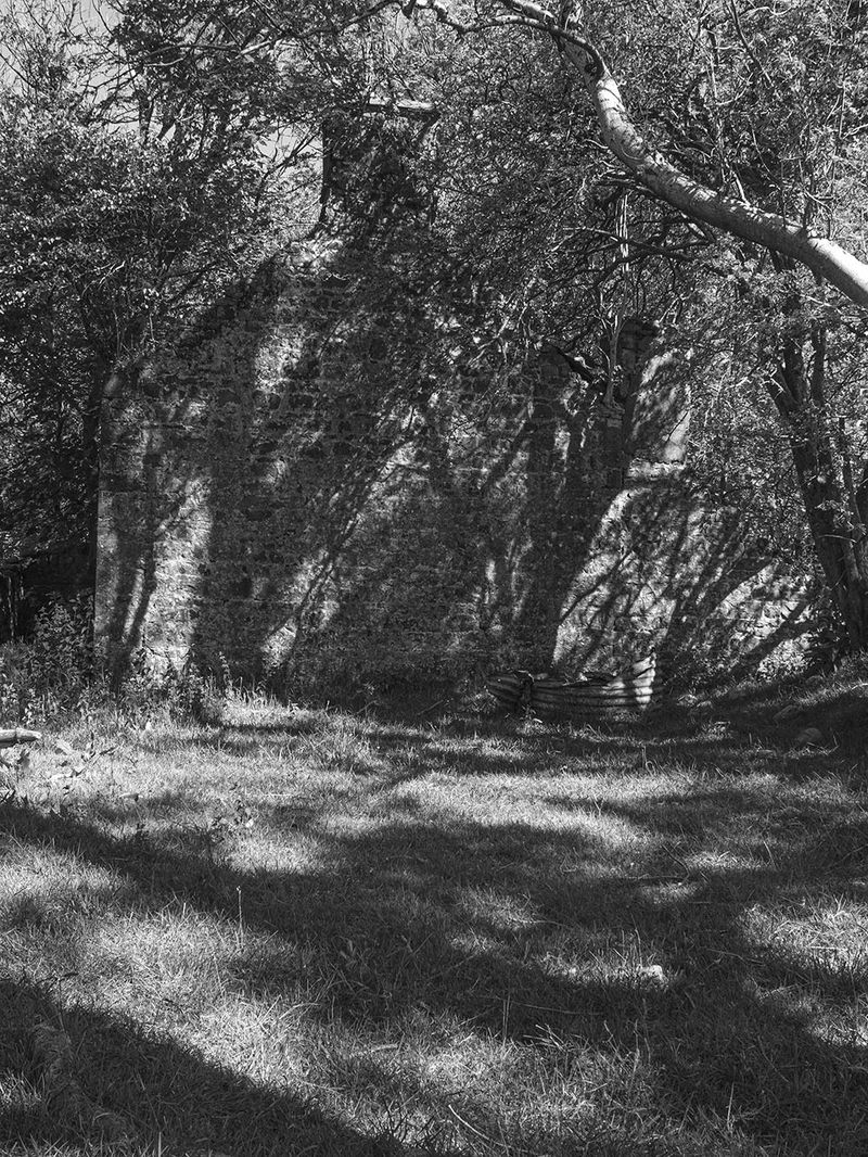 © Chloe Alexandra Davies - Where she went.
