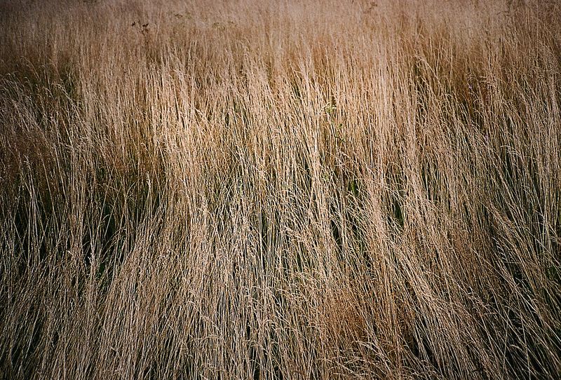 © Monika Chrabąszcz-Tarkowska - Image from the PRAYERS photography project