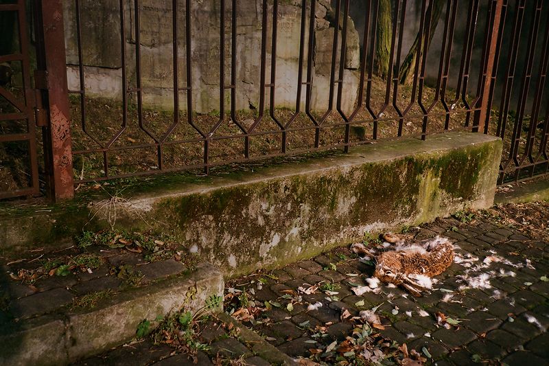 © Monika Chrabąszcz-Tarkowska - Image from the PRAYERS photography project