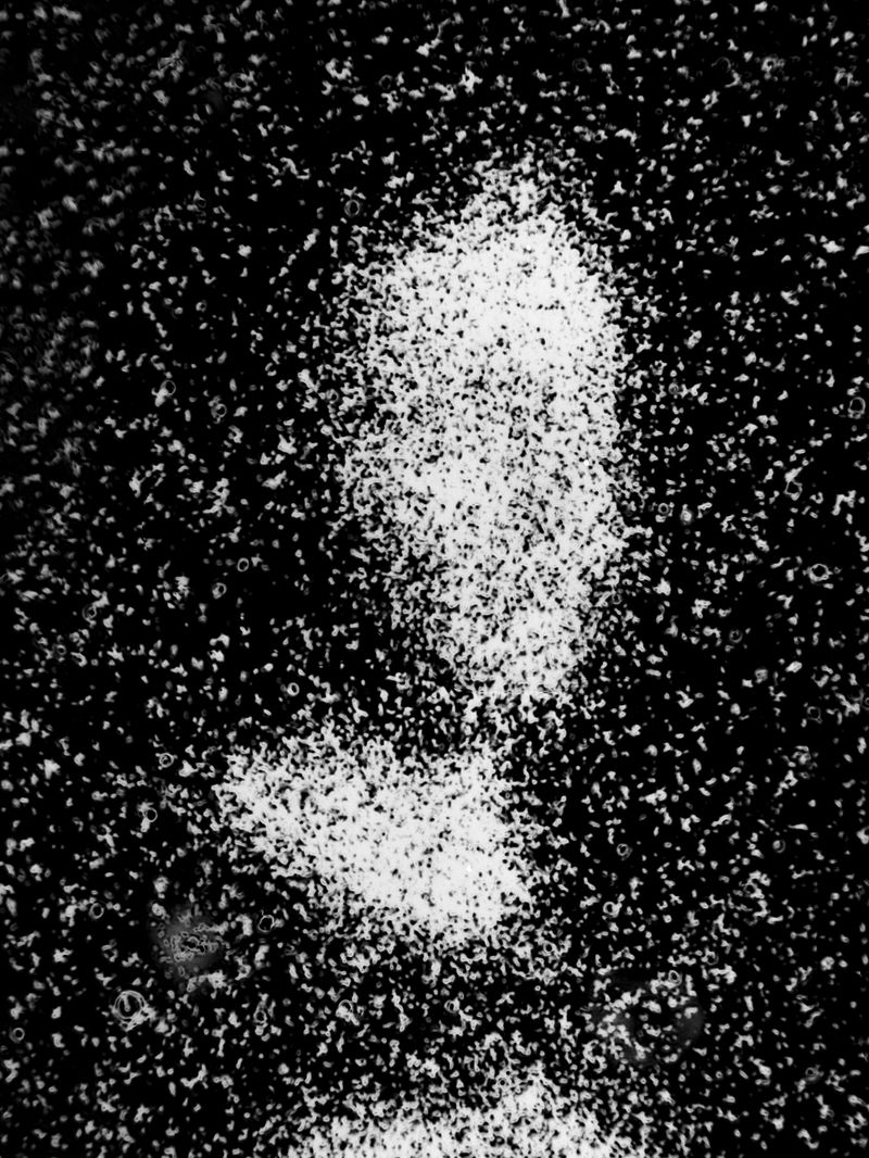 © Maxim Ivanov - Evgeniy Boytsov from Moscow Region. Close-up portrait taken on film through a microscope.